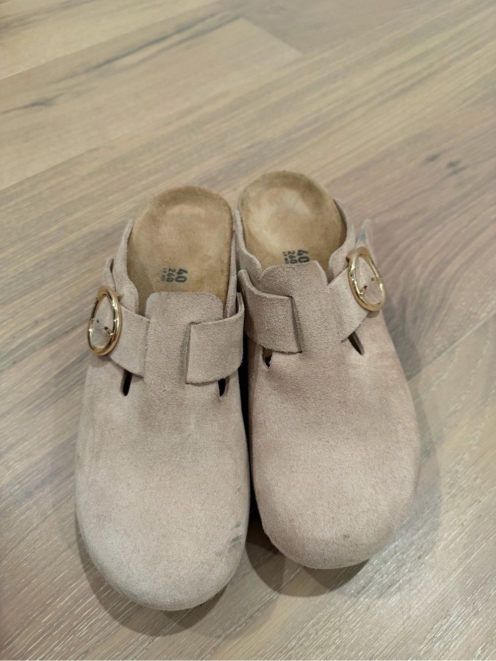Birkenstock Women's Suede Clogs in Light Taupe with Gold Buckle Fall Neutral